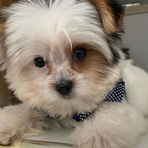 Meet your Posher, Edwin